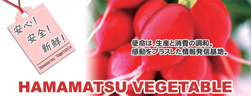 焙煎国産100%ごぼうの皮だけ茶ー人気の秘密は皮にある。サポニンの力